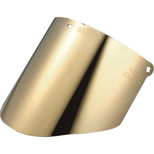 [SGI588] Total Performance Faceshield (SGI588)
