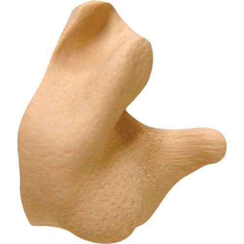 [SGP818] Custom Molded Earplugs (SGP818)