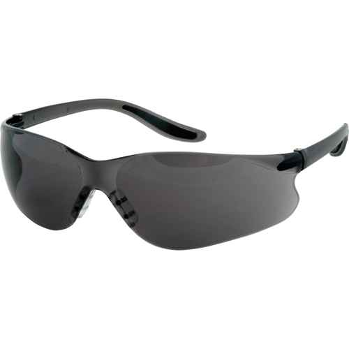 [SGQ769] Z500 Series Safety Glasses (SGQ769)