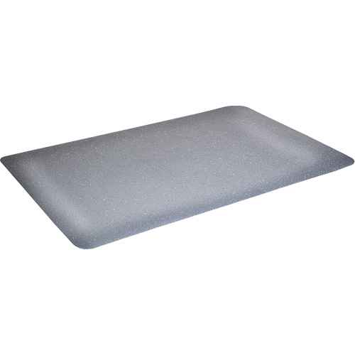 [SGQ836] Tapis antimicrobiens WD(MC) Foodmaster (SGQ836)