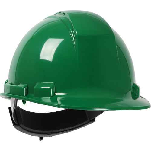[SGV670] Dynamic™ Whistler™ Hardhat (SGV670)