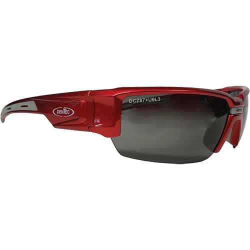 [SGX095] Hartley™ Safety Glasses (SGX095)