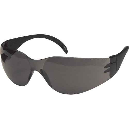 [SGX098] CeeTec™ Safety Glasses (SGX098)