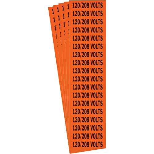[SGX992] "120/208 Volts" Conduit & Voltage Labels (SGX992)