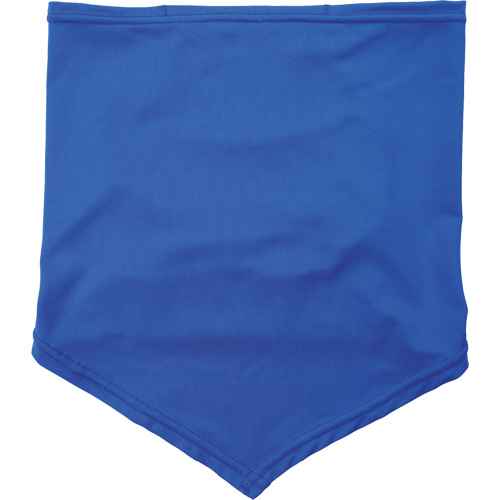 Chill-Its 6483 Cooling Neck Gaiter Bandana with Pocket (SHB498)
