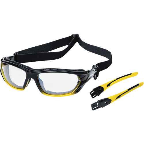 [SHE966] XPS530 Sealed Safety Glasses (SHE966)