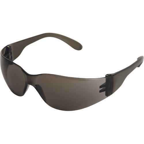 X300 Lunettes de sécurité (SHE968)