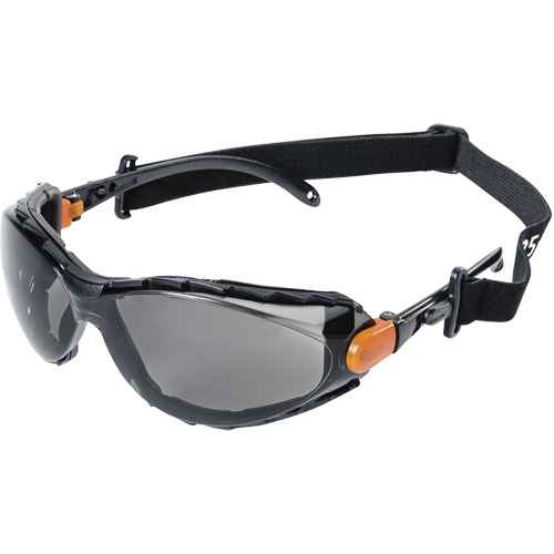 XPS502 Lunettes de sécurité étanches (SHE970)