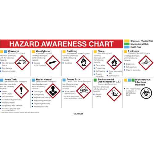 [SJ004] Mini MSDS Chart- English (SJ004)