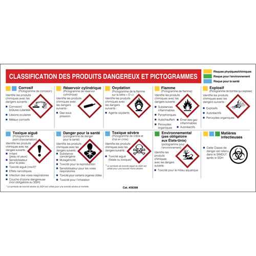 [SJ005] Mini MSDS Chart- French (SJ005)