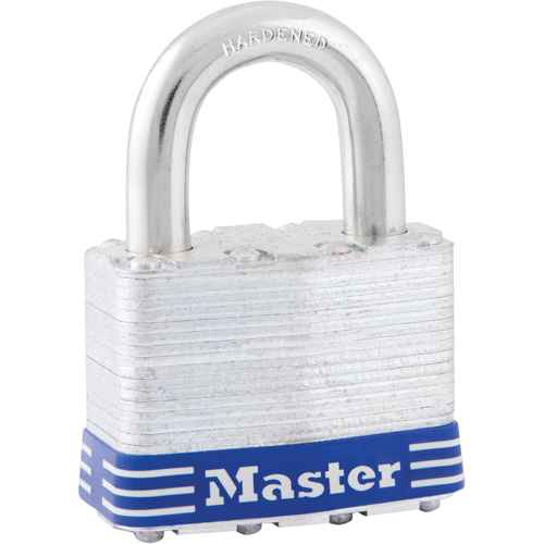 [SR875] Padlocks (SR875)