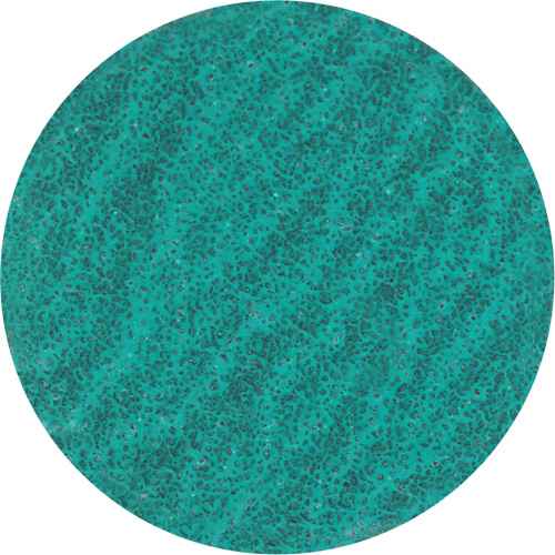 [TCQ927] Lock Back Sanding Disc (TCQ927)