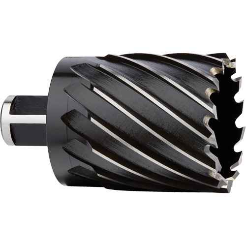 Annular Cutter (TEA229)