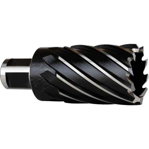 Annular Cutter (TEA236)