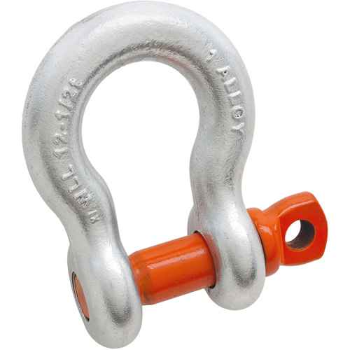 [TQB170] Forged Alloy Steel Anchor Shackle (TQB170)