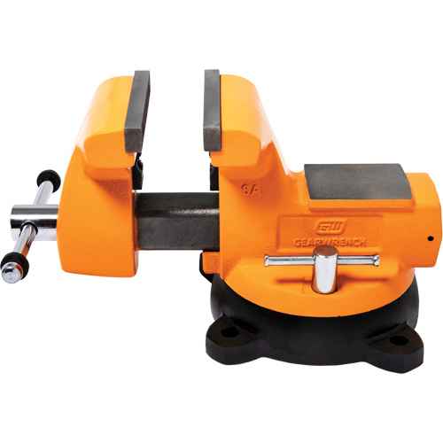 Mechanic's Bench Vise with Anvil (UAX359)