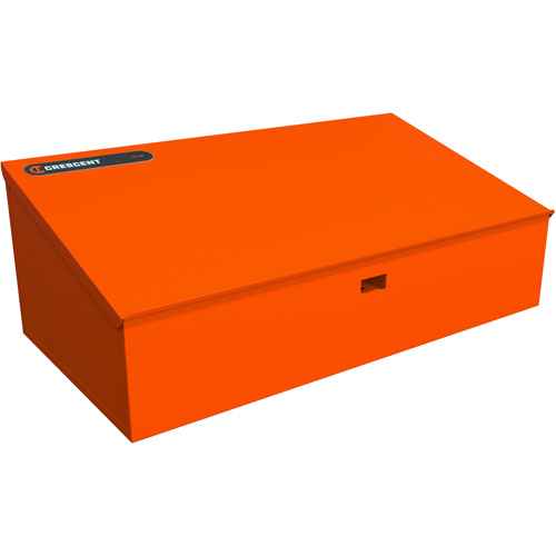 RAILWORKS Top Shelf Lockable Angled Workstation (UAY638)