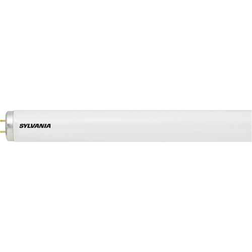 [XB169] Fluorescent Lamps - Full Spectrum (XB169)