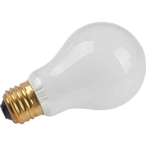 [XC565] Economy Line Incandescent Lamps (XC565)