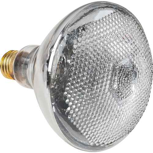 [XC566] Lampes à incandescence économiques (XC566)