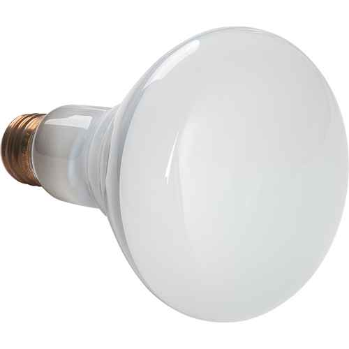 [XC567] Lampes à incandescence économiques (XC567)