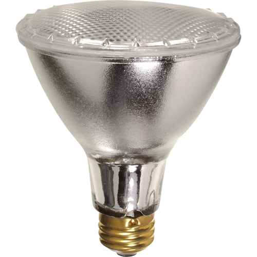 [XC570] Economy Line Lamps (XC570)