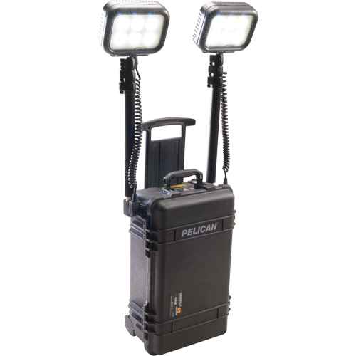 [XC818] 9460 Remote Area Lighting Systems (XC818)