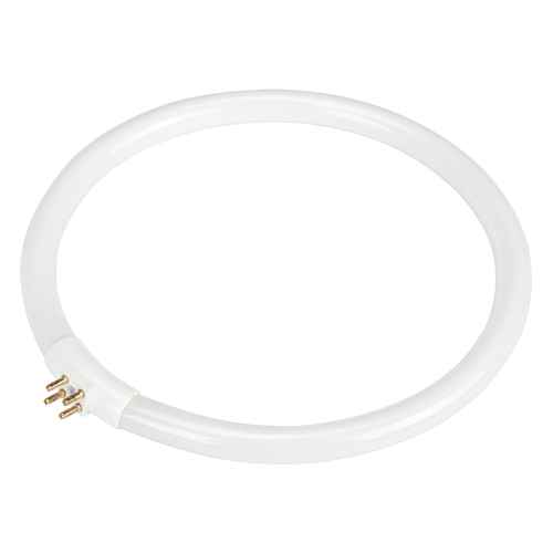 [XC995] Replacement Fluorescent Bulb for Rhinomag Illuminated Magnifiers (XC995)
