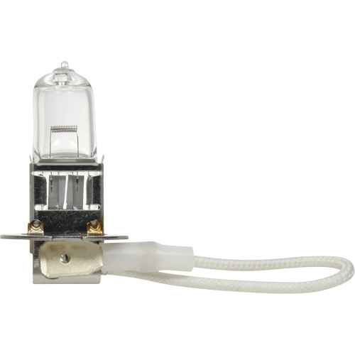 [XI769] H3 Basic Fog Bulb (XI769)