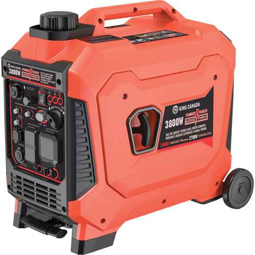 [XJ263] Dual Fuel Gasoline & Propane Digital Inverter Generator (XJ263)