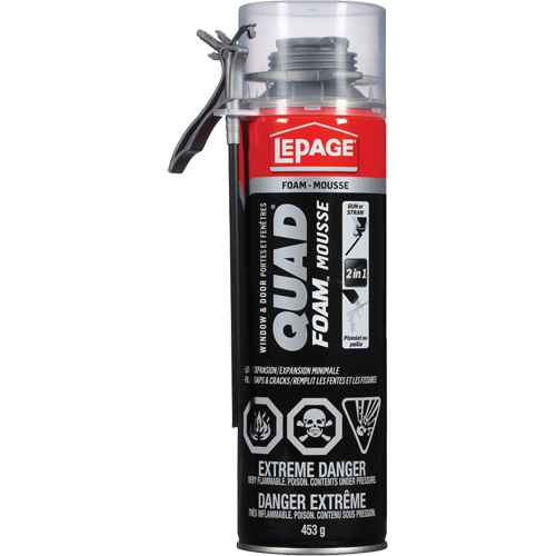 Quad® Foam™ Window & Door Installation Foam (AG721)